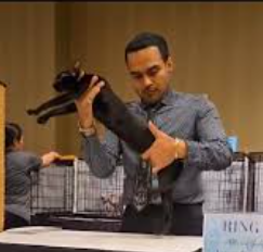 Jorge judging